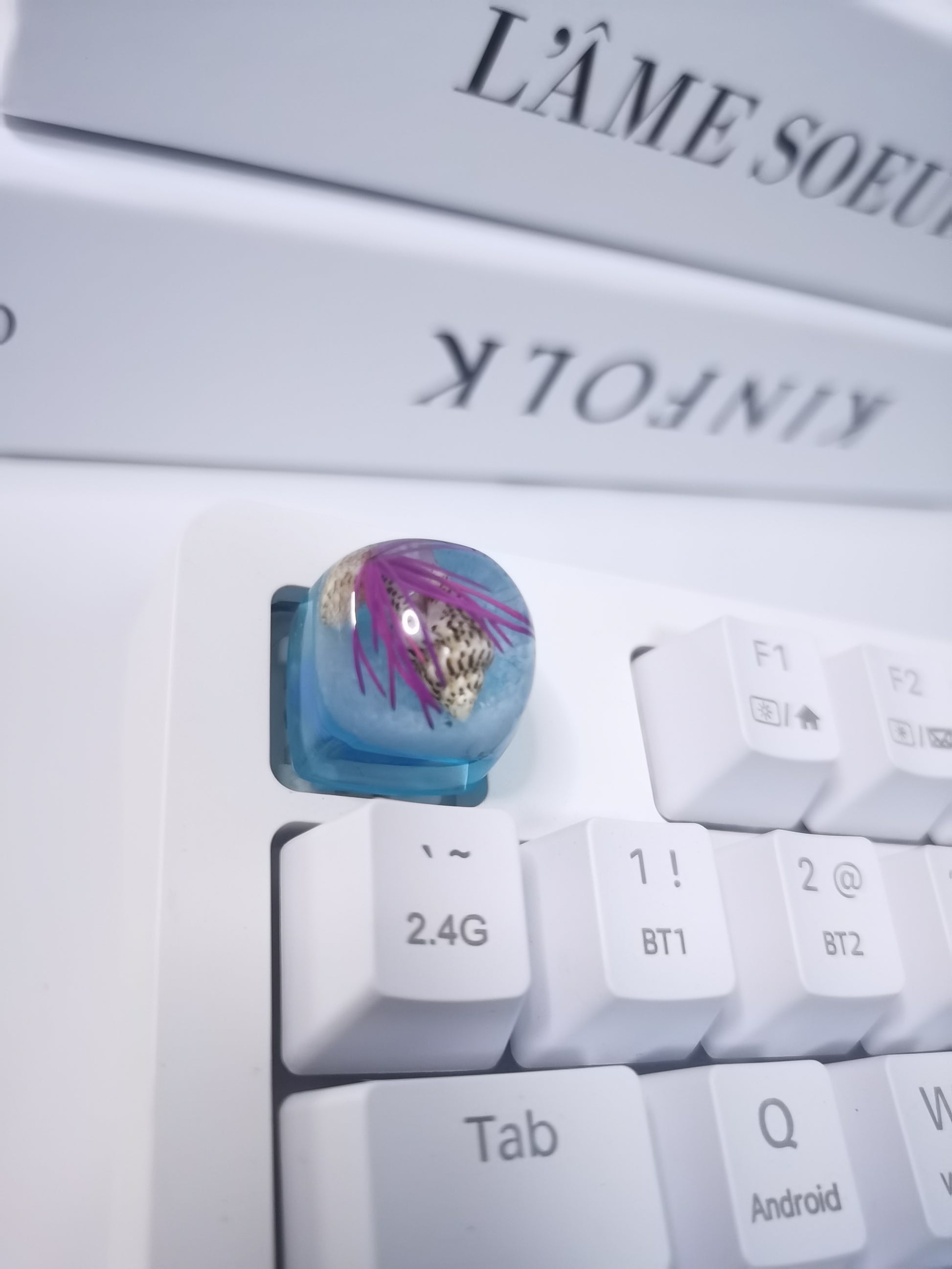 Handmade Artisan Fruit & Ocean Resin Keycaps – Cute Custom Escape Keycaps for Mechanical Keyboards, Cherry MX Compatible