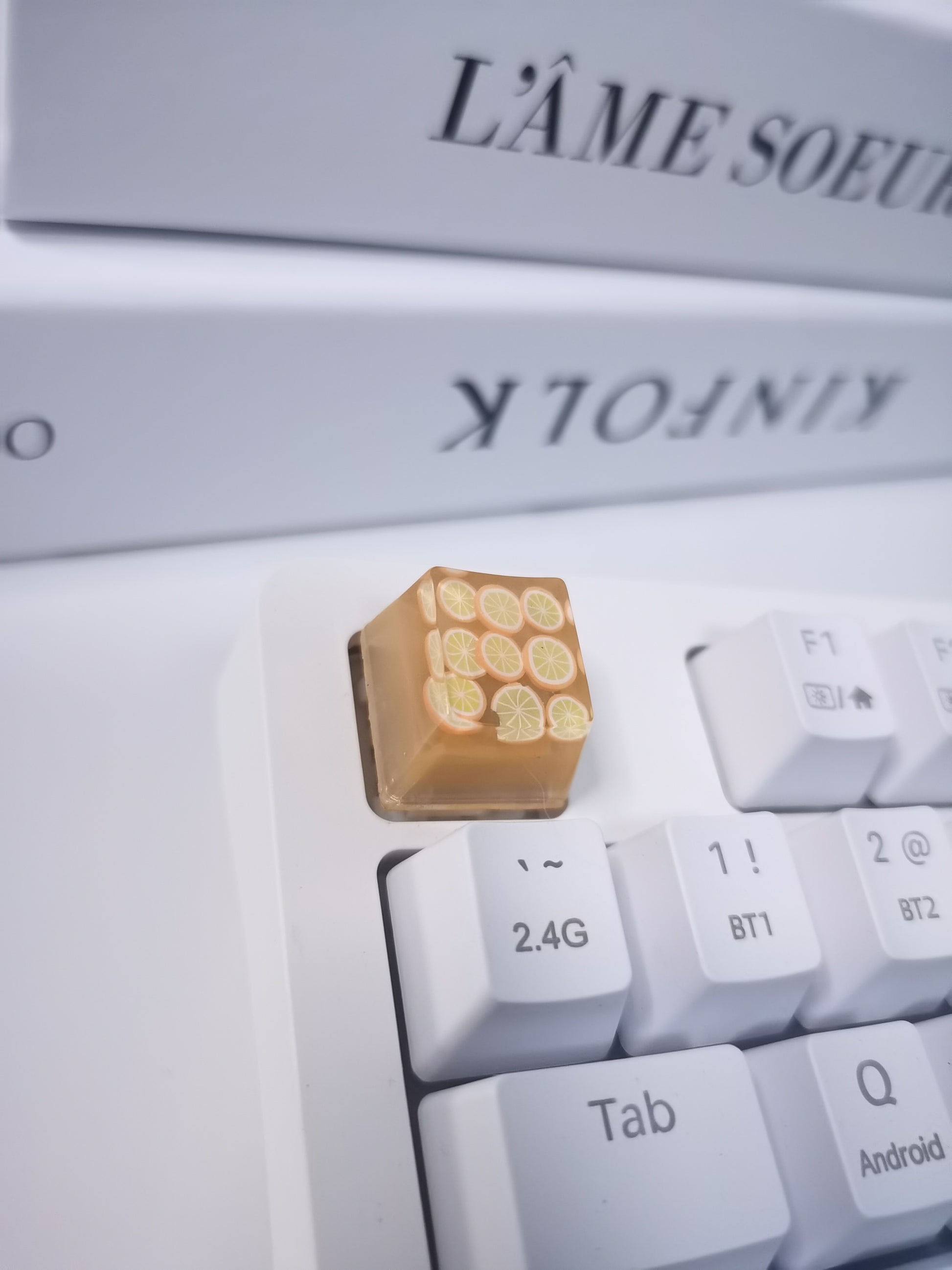 Handmade Artisan Fruit & Ocean Resin Keycaps – Cute Custom Escape Keycaps for Mechanical Keyboards, Cherry MX Compatible